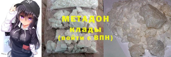 прущие грибы Краснотурьинск