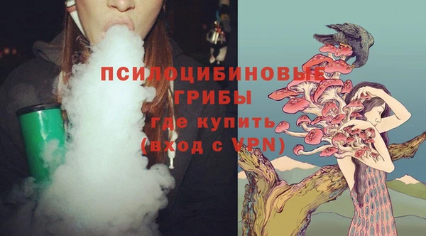 мдпв Лагань