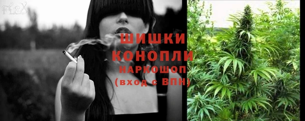 spice Лабытнанги