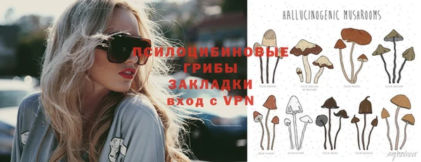 мдпв Лагань