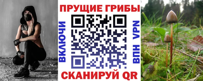 хочу наркоту  Медвежьегорск  OMG рабочий сайт  Галлюциногенные грибы ЛСД 